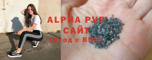 прущие грибы Белоозёрский