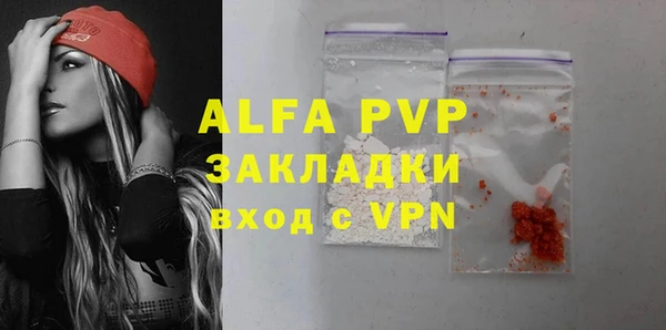 дживик Богородицк