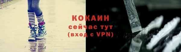 прущие грибы Белоозёрский