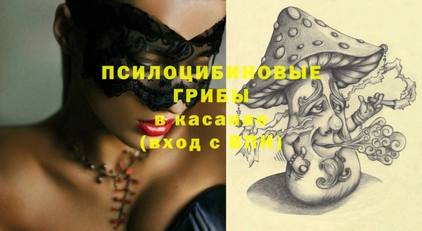 МДПВ Белокуриха