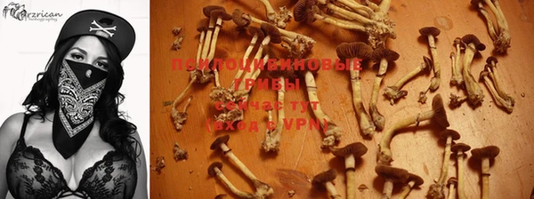 гашиш Богородск