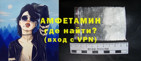 дживик Богородицк