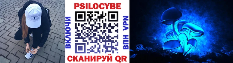 Купить закладки  Михайловск  Псилоцибиновые грибы Psilocybine cubensis 